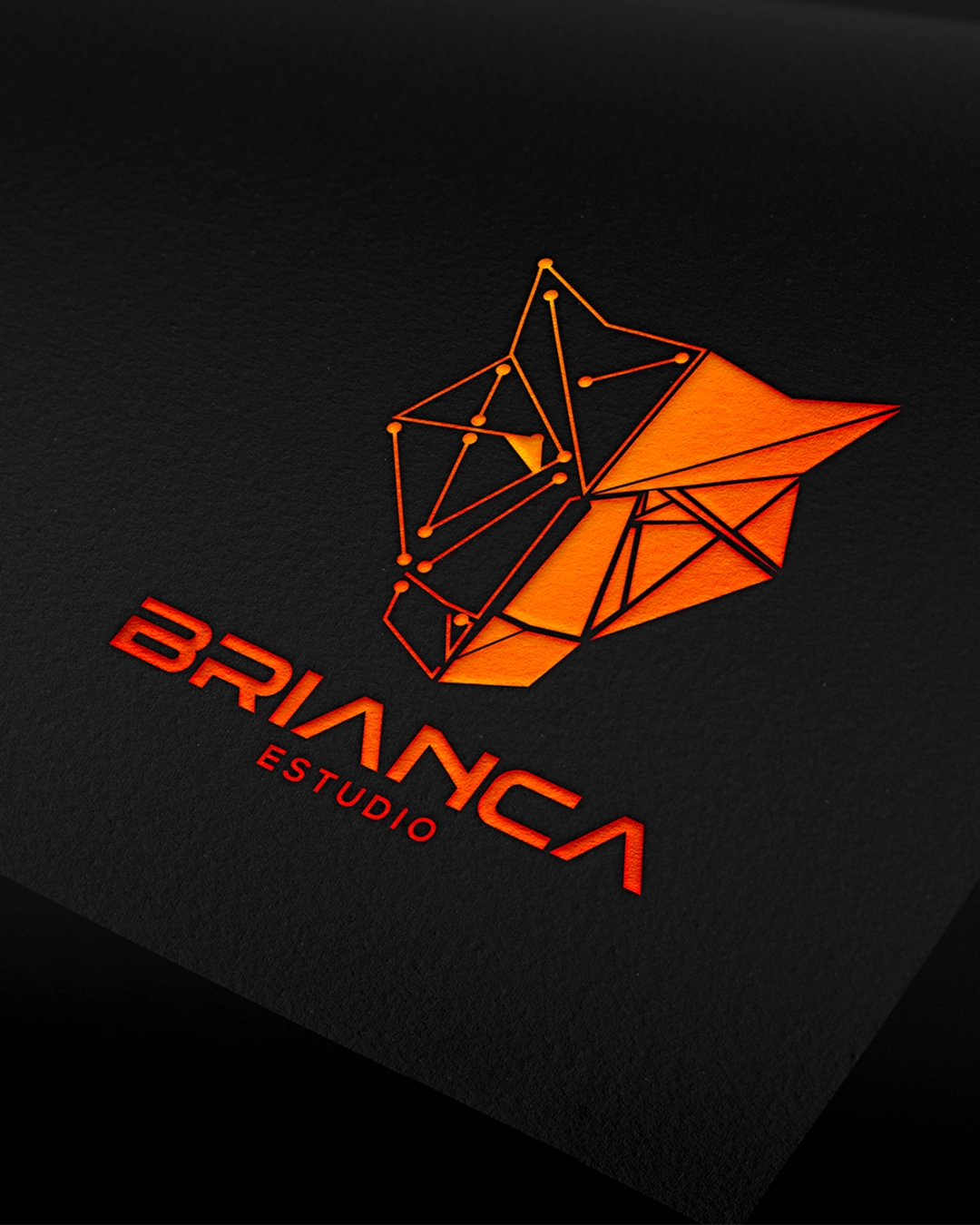 Designer_Logos_b1